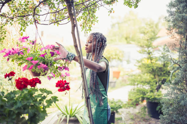 istock African woman doing re-potting in a backyard 1068275846