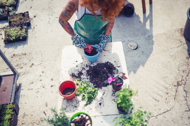 istock Redhead young women doing re-potting in a backyard 1068276034