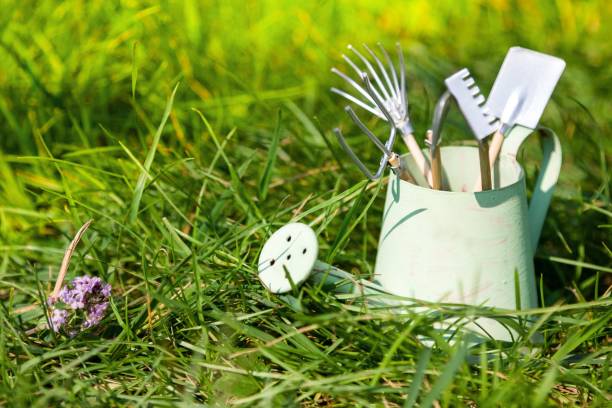istock Watering can and garden tools on grass in summer 1068279864