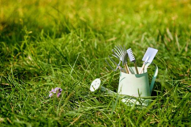 istock Watering can and garden tools on grass in summer 1068279866