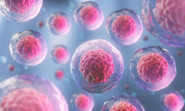 Human cell or Embryonic stem cell microscope background. 3d rendering of Human cell or Embryonic stem cell microscope background. biological cell stock pictures, royalty-free photos & images