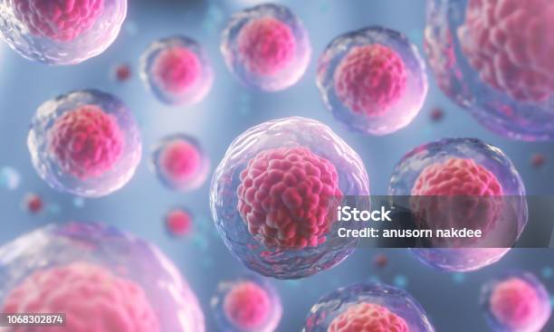 Human Cell Or Embryonic Stem Cell Microscope Background Stock Photo - Download Image Now