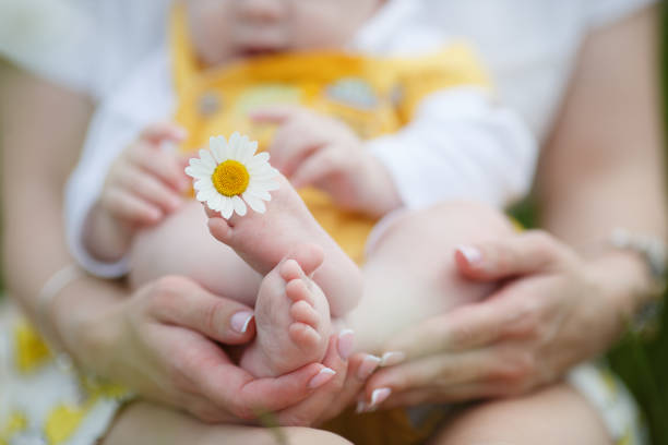 istock Mom with her little son in her arms outdoors in a chamomile field in summer. 1068303480