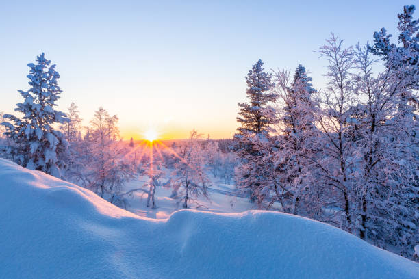 istock Beautiful winter landscape with snow-covered trees in Lapland, Finland 1068303620