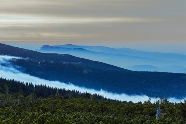 istock Clouds and fog over the coniferous forest in the mountains 1068305546