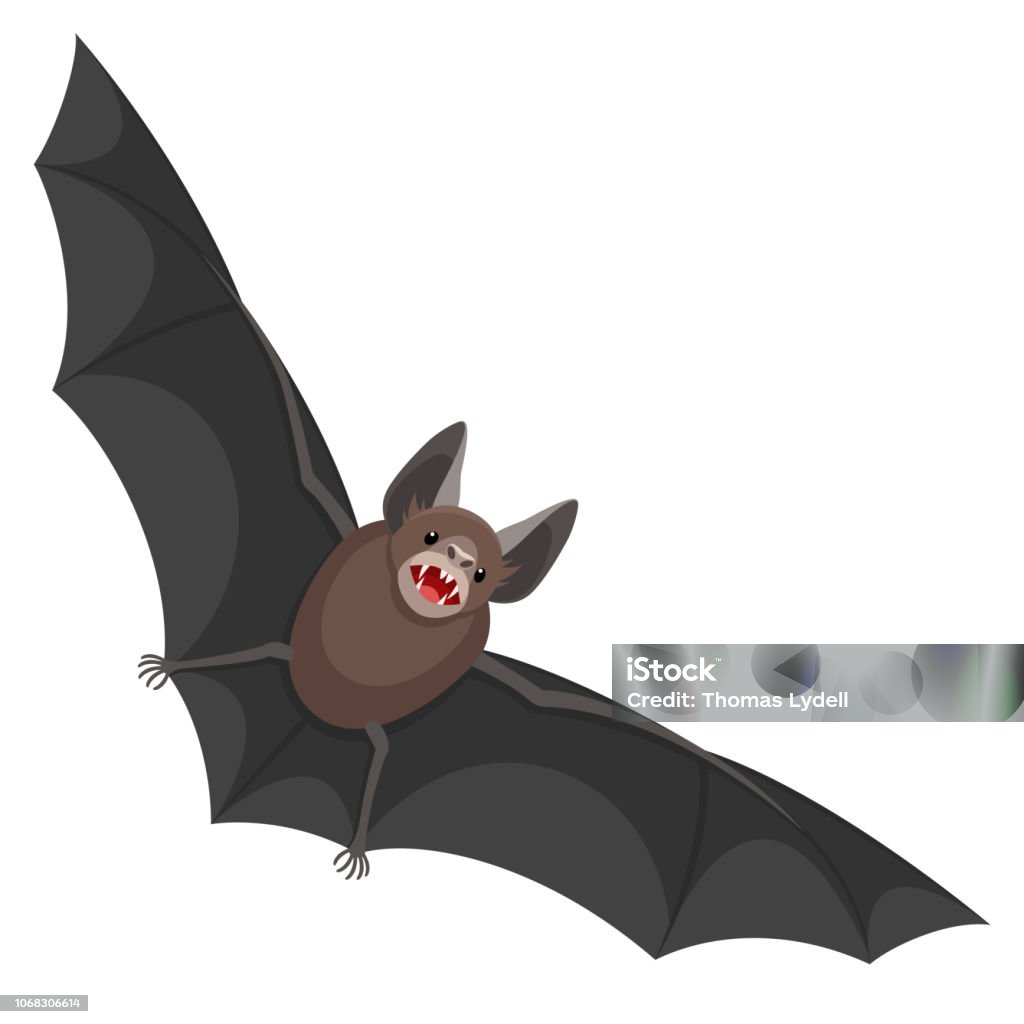 Beats Illustrationen föreställer en fladdermus Bat - Animal stock vector