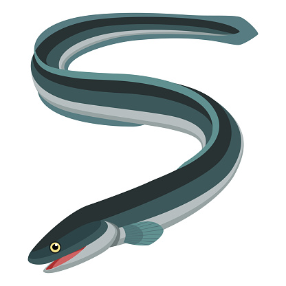 Illustrationen visar en bild på en ål