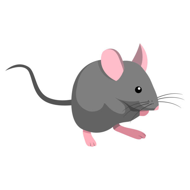 Mus Illustrationen visar en mus one animal stock illustrations