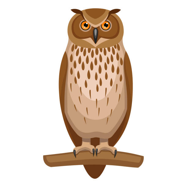 owl Illustrationen visar en uggla eurasian eagle owl stock illustrations