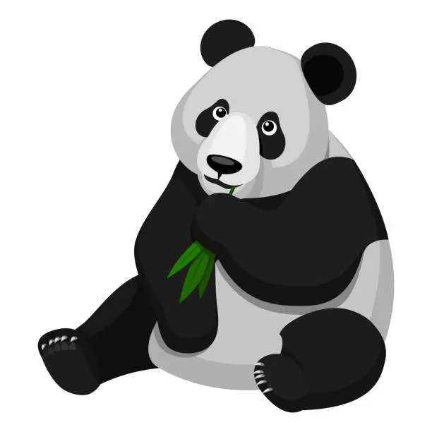 Vector illustration of Panda