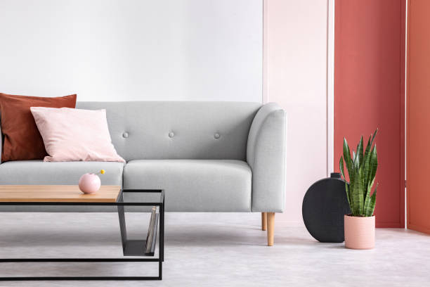 istock Plant next to grey couch with pink and red pillow in grey loft interior with table and screen. Real photo 1068309820