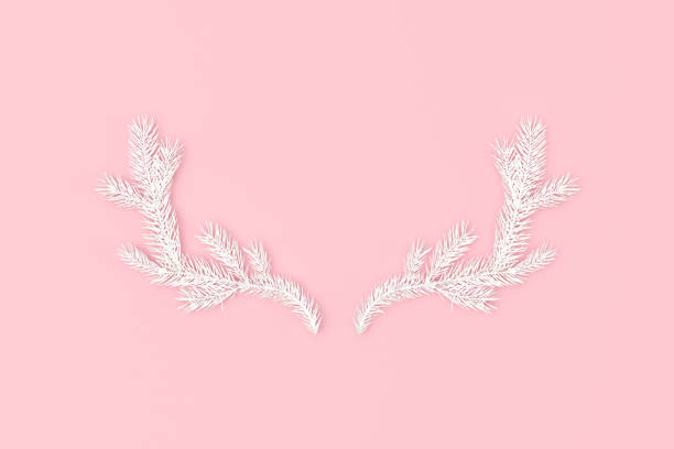 White deer horns made of fir branches isolated on pink background 3D Rendering pink christmas tree stock pictures, royalty-free photos & images
