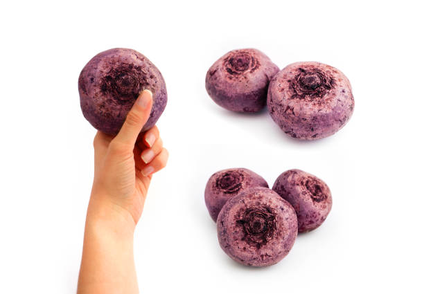 istock A set of raw purple beetroots, isolated on white background. One beetroot in a hand. 1068313174