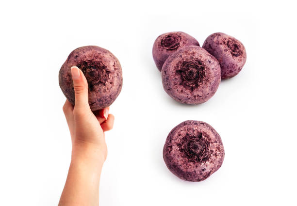 istock A set of raw purple beetroots, isolated on white background. One beetroot in a hand. 1068313176