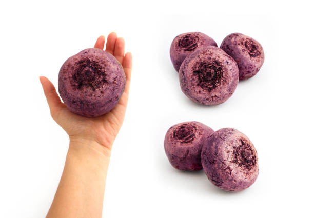 istock A set of raw purple beetroots, isolated on white background. One beetroot in a hand. 1068313230