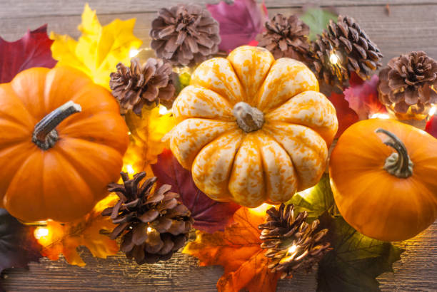 istock pumpkins and acorns and lights 1068318684
