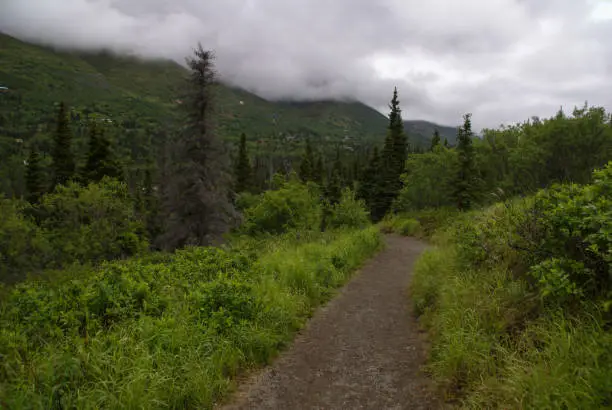 Gravel path lined by rich green foliage along the South Fork Eagle River Trailhead near Anchorage Alaska