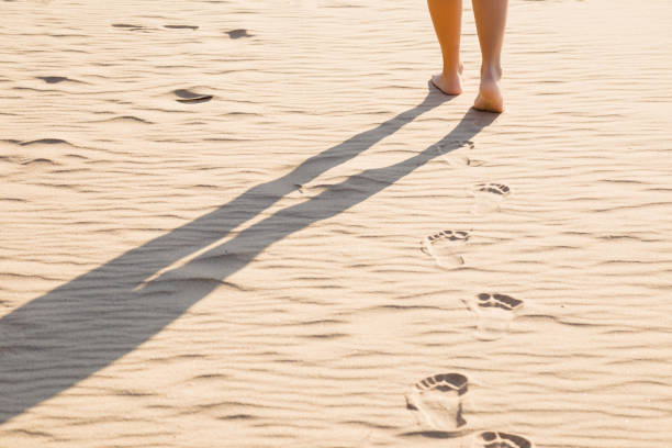 젊은 여자의 맨발로 걷고 마른 모래에 화창한 여름 날에. 신체의 일부입니다. 앞으로 이동 합니다. 다시 보기. 긴 그림자입니다. 발자국을 떠난다. - sand footprint track following 뉴스 사진 이미지
