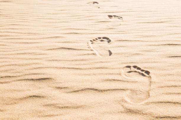 frescas huellas humanas en arena seca en un día soleado de verano. ir hacia adelante. vista de ángulo bajo. lugar vacío para el texto, citar o refranes. - sand footprint track following fotografías e imágenes de stock