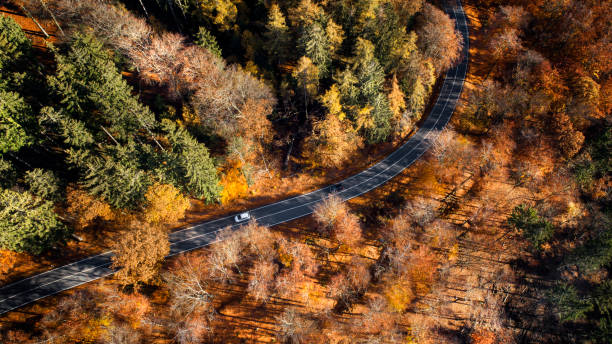 istock Road through autumnal forest - aerial view 1068334808