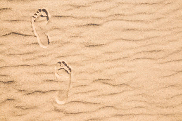 istock Fresh human footprints on dry sand in sunny summer day. Go forward. Top view. Empty place for text, quote or sayings. 1068334952
