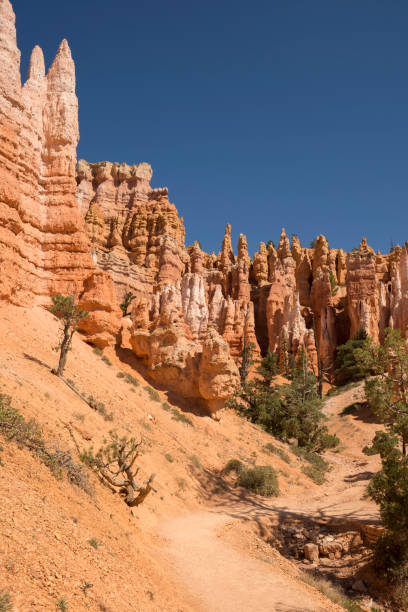 istock landscape on the bryce canyon 1068335608