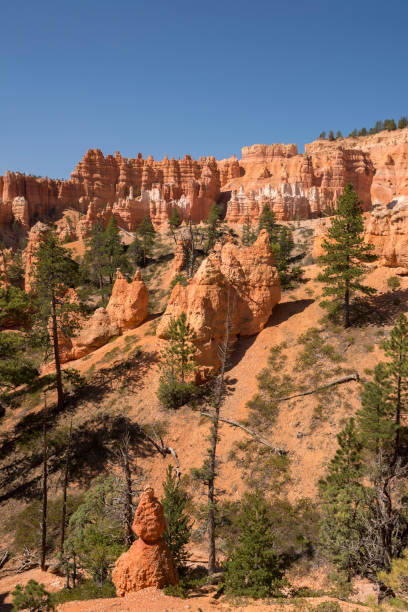istock landscape on the bryce canyon 1068335638