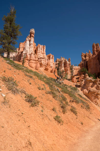 istock landscape on the bryce canyon 1068335688