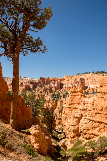 istock landscape on the bryce canyon 1068335726