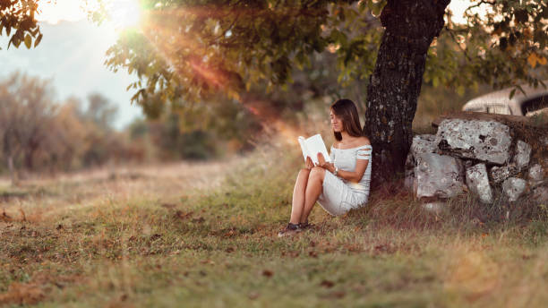 Young woman sitting and reading a book, outside under the tree, and enjoys sunset