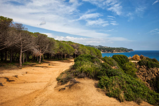 istock Edge Of The Forest Path On Costa Brava 1068342558
