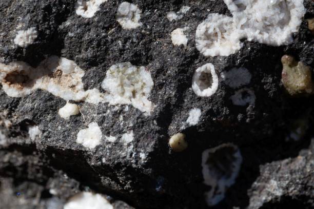 istock Zeolite minerals in a black basalt rock 1068343730
