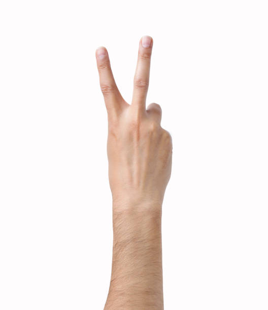 símbolo de mano - peace sign counting child human finger fotografías e imágenes de stock