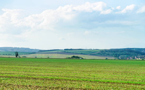 istock Scenery of field in Czech republic 1068348154