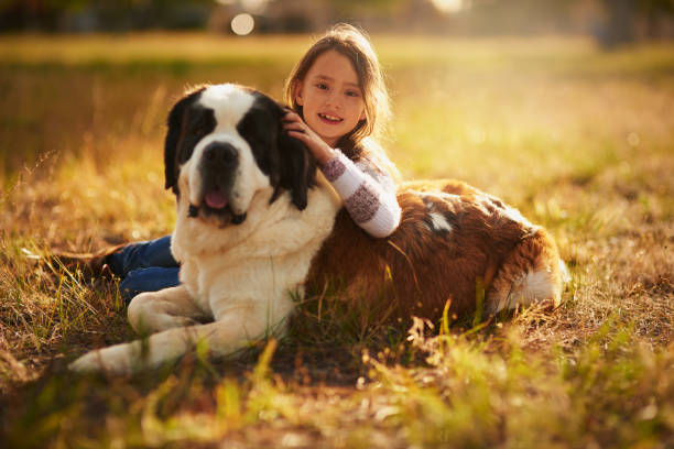 istock The fluffier they are, the better they cuddle 1068351648
