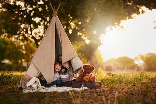 Portrait of two cute little siblings playing together in a teepee outside