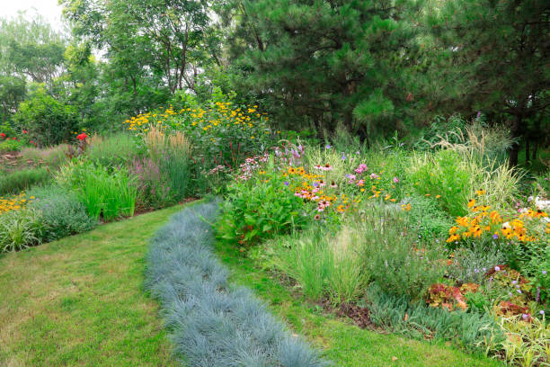 istock Green plants are in the park 1068351968