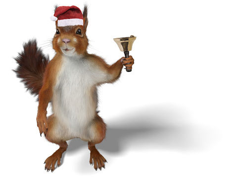 squirrel with a santa hat and a bell