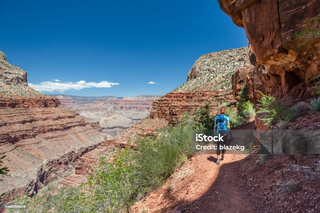 Hiker woman hiking in Grand Canyon. Healthy active lifestyle image of hiking young multiracial female hiker in Grand Canyon, Adventure and travel concept. Women hiking in USA national park. Hiking Stock Photo