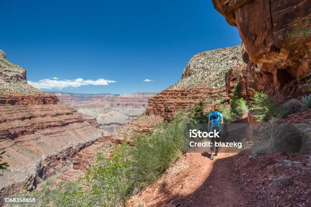 Hiker Woman Hiking In Grand Canyon Healthy Active Lifestyle Image Of Hiking Young Multiracial Female Hiker In Grand Canyon Adventure And Travel Concept Women Hiking In Usa National Park Stock Photo - Download Image Now