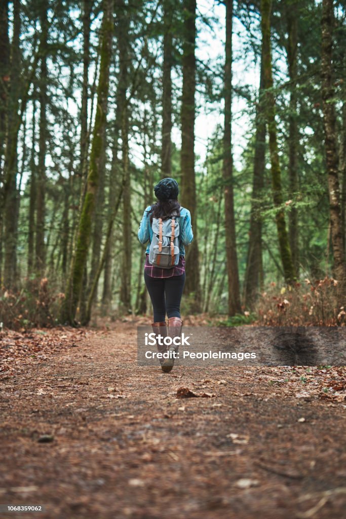 She's a wonderer Rearview shot of an unrecognizable woman walking in the woods Adult Stock Photo