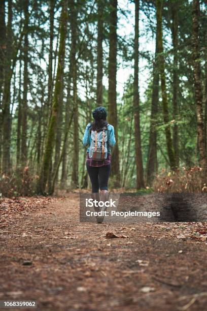 Shes A Wonderer Stock Photo - Download Image Now - Adult, Adults Only, Adventure