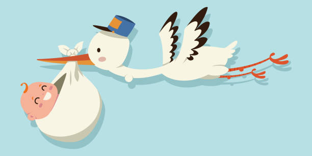 Cartoon Of A Storks Deliver Babies Illustrations, Royalty-Free Vector  Graphics & Clip Art - iStock