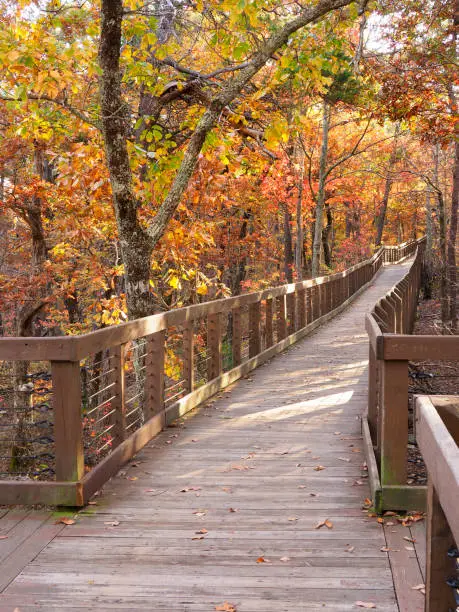 Photo of The Boardwalk to Bald Rock at Cheaha State Park in the Fall