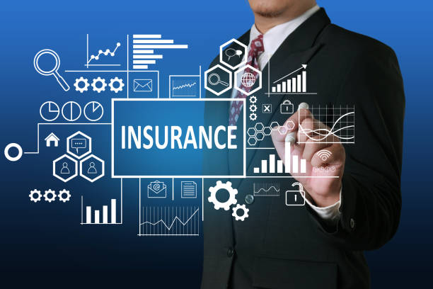 istock Insurance in Business Concept 1068369806