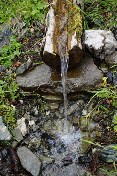 istock spring of water in the forest 1068370044