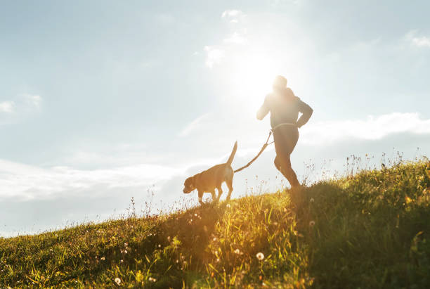 istock Bright sunny Morning Canicross exercises. Man runs with his beagle dog. 1068372872