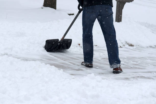 istock Winter snowy day background. 1068373068