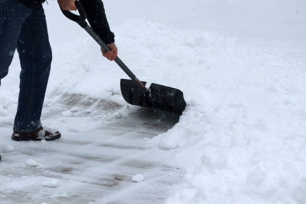 istock Winter snowy day background. 1068373070