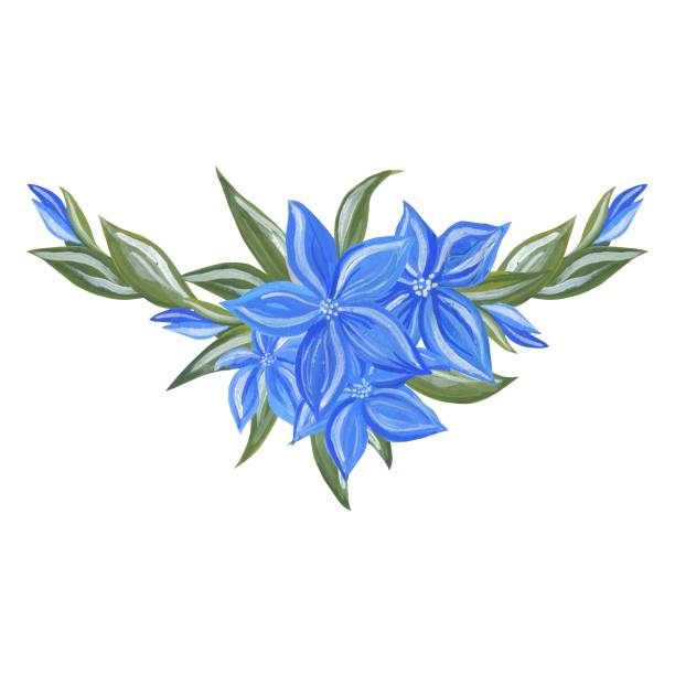 水彩画手描きのニゲラフラワーイラスト - ニゲラのベクターアート素材
